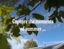 Instagram reel